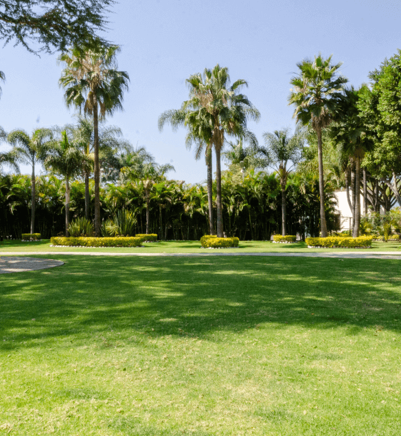 Imagen de autentificación